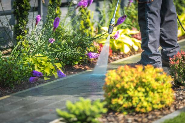 Glendale, CA  Pressure Washing Services Company